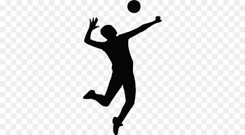 Volleyball Clip art Vector graphics Sports Image - volleyball 