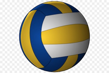 Volleyball Clip art - Vector volleyball 