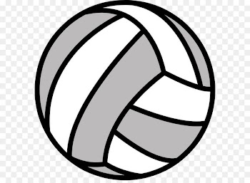 Volleyball Clip art - Volleyball PNG 