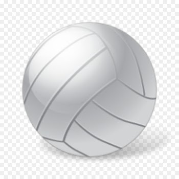 Volleyball Coach Sport Ball game - volleyball 