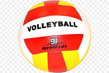 Volleyball Cricket Balls Product - skip hop zoo 