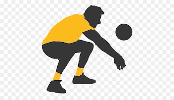 Volleyball Encapsulated PostScript Clip art - volleyball vector 