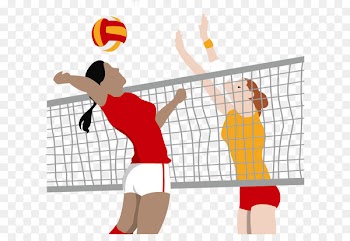 Volleyball Euclidean vector Icon - Vector playing volleyball 