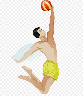 Volleyball Euclidean vector - Volleyball 
