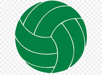 Volleyball Hamilton Pink Sport Clip art - Volleyball PNG 