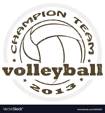 Volleyball label vector image