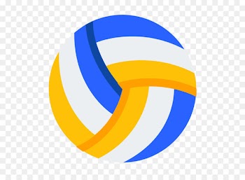 Volleyball Largo Clip art - Volleyball PNG 