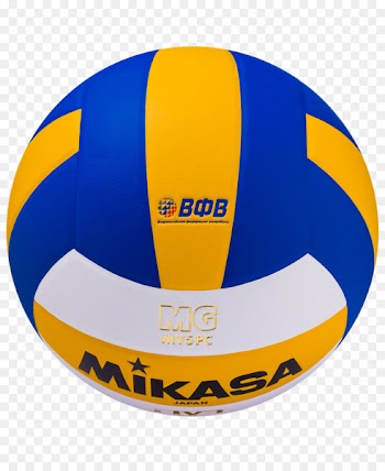 Volleyball Mikasa Sports Mikasa MVA 200 volley ball - volleyball 