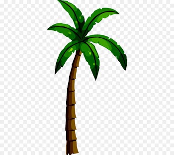 Volleyball net Arecaceae Coconut - others 