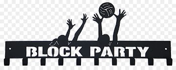 Volleyball Party Locken Coaching - Volleyball spike 