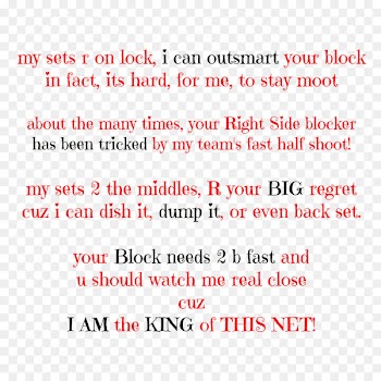 Volleyball setter Saying Quotation Point - volleyball 