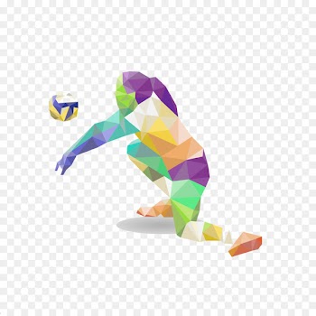Volleyball Sport Athlete Basketball - volleyball 
