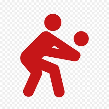 Volleyball Sport Coach Team - volleyball 