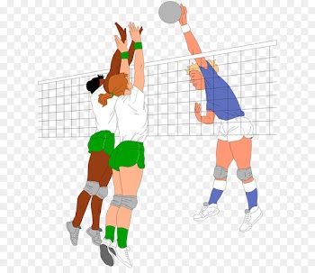 Volleyball Sport Netball Football - volleyball 