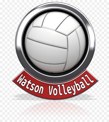 Volleyball Sport Serve Exercise - volleyball match 
