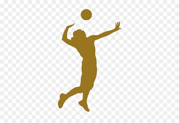 Volleyball Sport Silhouette - volei 