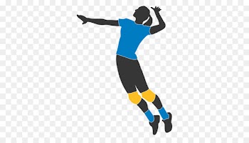 Volleyball Sport Team - volleyball 