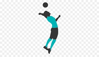 Volleyball Sport Team - volleyball movement player 