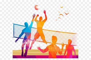 Volleyball Sport - Volleyball game site 