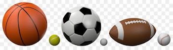 Volleyball Sporting Goods - sports activities 