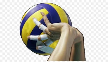 Volleyball SuperLega Volley Pesaro Sport Coach - volleyball 