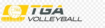 Volleyball Team sport Logo Brand - franchise cooperation 