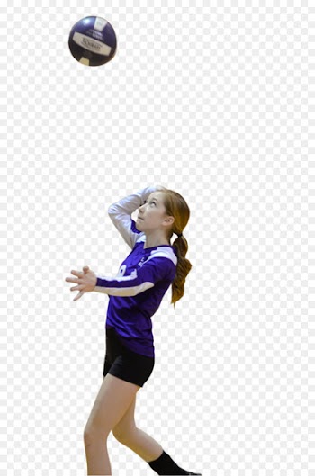 Volleyball Team sport - professional 
