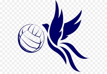 Volleyball Team sport T-shirt Sports - silver hockey stick logo 