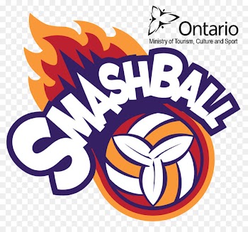 Volleyball Tetherball Sport Ball game - volleyball 