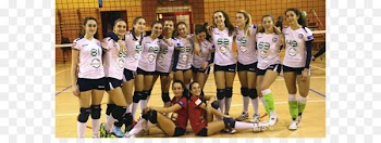 Volleyball Tournament Competition Team Uniform - volleyball 