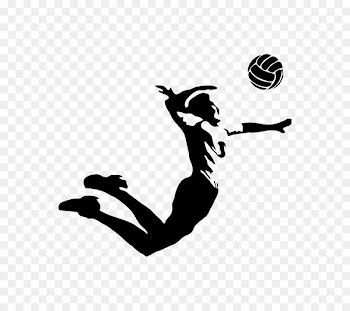 Volleyball VC Zenit-Kazan Sport VC Belogorie - volleyball 