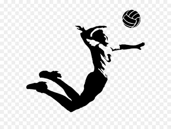 Volleyball VC Zenit-Kazan Sport VC Belogorie - volleyball 