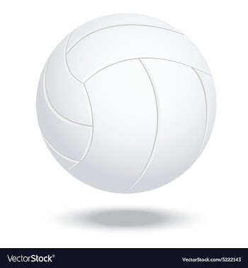 Volleyball vector image