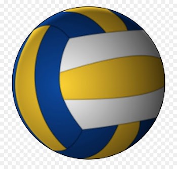 Volleyball Wallyball Sport - volleyball 