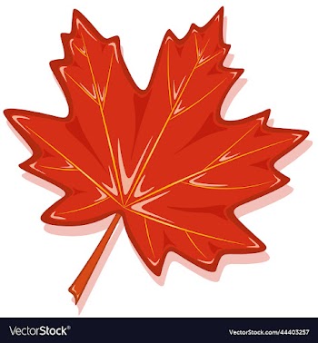 volumed autumn red color maple leaf