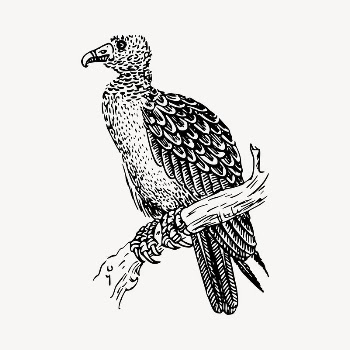 Vulture bird clipart, vintage hand | Free Vector - rawpixel