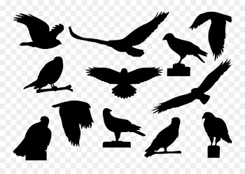 Vulture Fauna Font Silhouette Beak -  