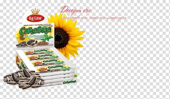 Waffle Seed Sesame Sugar Dessert, bg line transparent background PNG clipart
