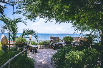 Wagon Bench Set Near Body of Water and Trees