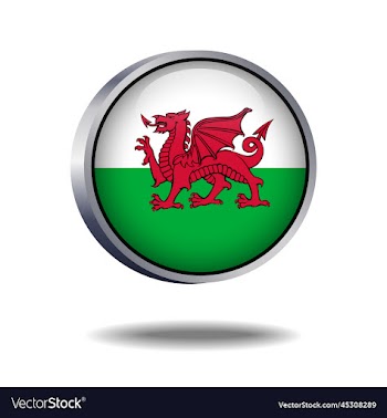 wales flag button