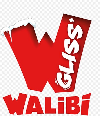 Walibi Holland Robin Hood Walibi Belgium Xpress: Platform 13 Walibi Sud-Ouest -  