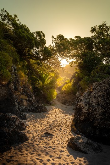 Walking and exploring on an island in New Zealand called Waiheke when I saw the light on the other side of this type of “entrance”. What wonderful landscape will I find on the other side? How long will the road last until it reaches its destination?