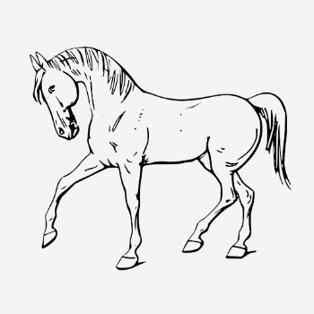 Walking horse line art, animal | Free Photo - rawpixel