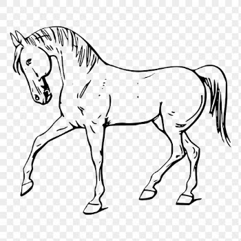 Walking horse sticker, hand drawn | Free PNG - rawpixel