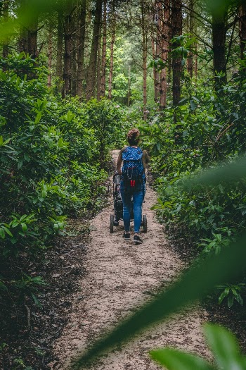 Walking in the woods