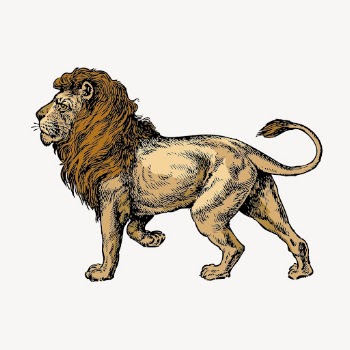 Walking lion clipart, vintage animal | Free PSD Illustration - rawpixel