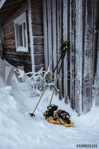 Walking stick and snowshoes by ajds wooden wall