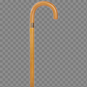 Walking Stick PNG Photo