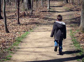 WalkInWoods_13.5x10.jpg