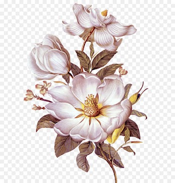 Wall-clock time Download - Camellia oil painting vector 